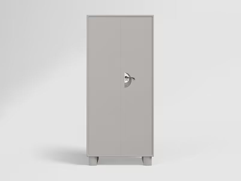 Godrej interio Storwel M3 2 Door Steel Almirah
