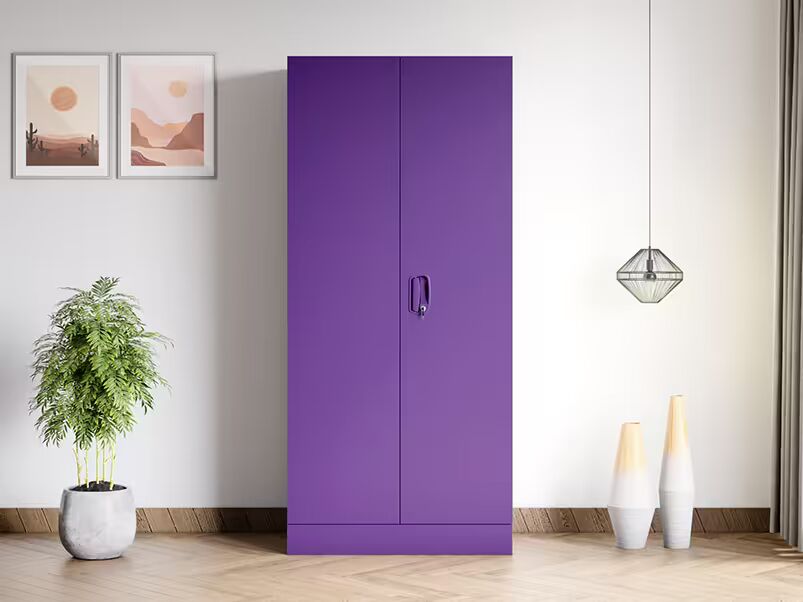 Godrej interio Aceline 2 Door Steel Almirah