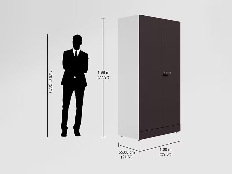 Godrej interio Auraline Men Premium 2 Door Steel Almirah