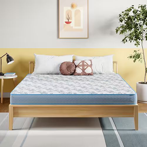 Godrej Posture Plus Mattress