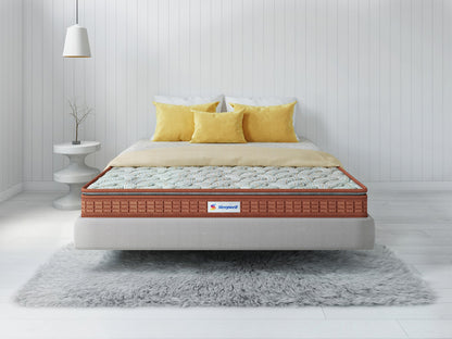 Sleepwell Spinetec Mattress