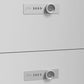 Godrej interio Auraline Women Premium 2 Door Steel Almirah