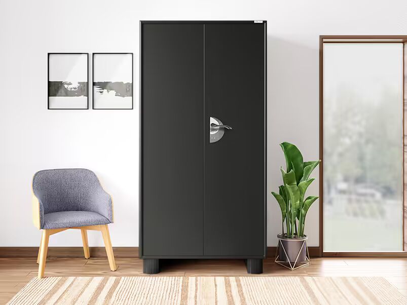Godrej interio Storwel M2 2 Door Steel Almirah