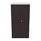 Godrej interio Auraline Women Basic 2 Door Steel Almirah