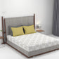 Carnival Kalakriti Lime King Bedsheet With 2 Pillow Cover Gift Set, 144TC, 100% Cotton, Abstract, Green