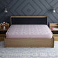 Godrej Ultima Plus Mattress