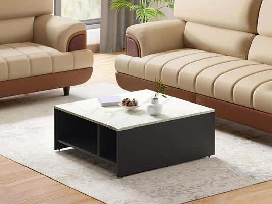 Ontar Coffee Table
