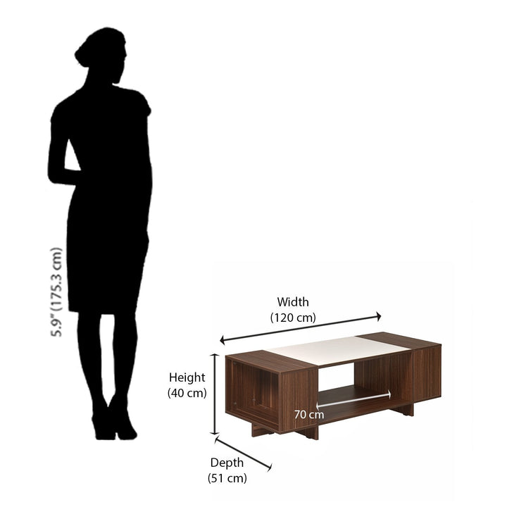 Carin Coffee Table