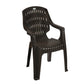 Nilkamal CHR2230 Plastic Arm Chair(Season Rust Brown)