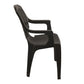 Nilkamal CHR2230 Plastic Arm Chair(Season Rust Brown)