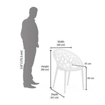 Nilkamal Crystal Polypropylene Armless Chair