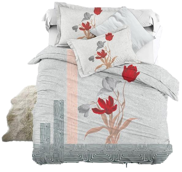 Signature King Size Bedsheet Collection-Professor D 3