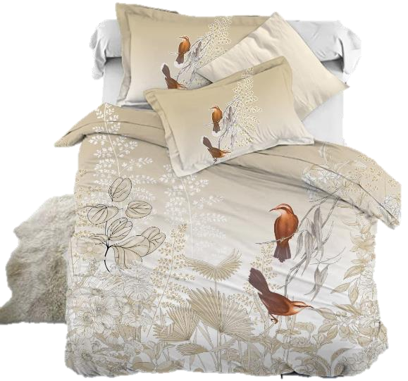 Signature King Size Bedsheet Collection-Professor D 4