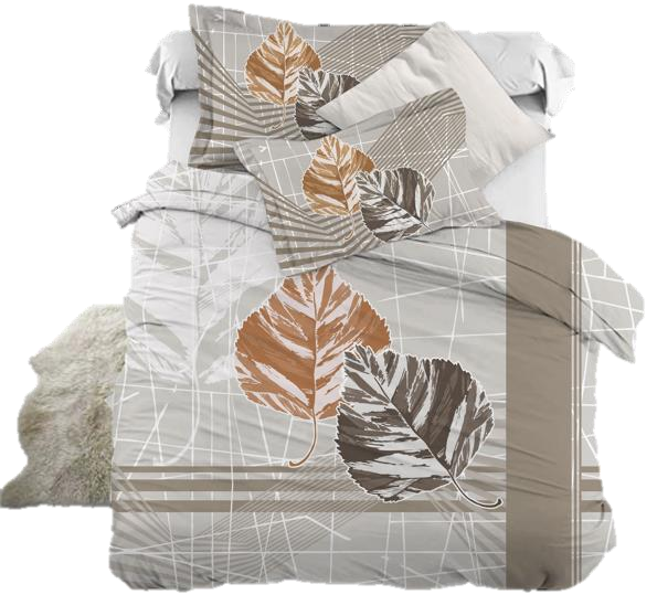 Signature King Size Bedsheet Collection-Professor D 7