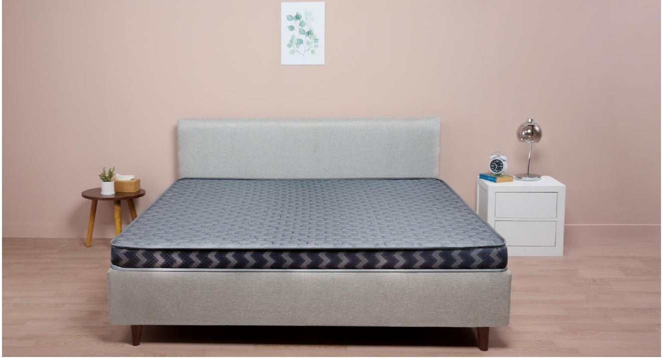 Sleepwel FF Back Smart Plus Mattress