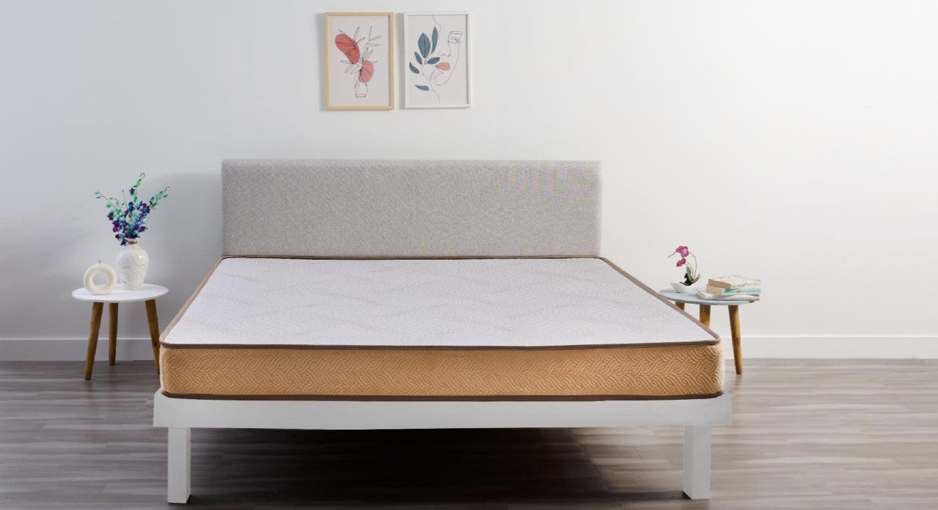 Sleepwel FF Zesty Plus Mattress